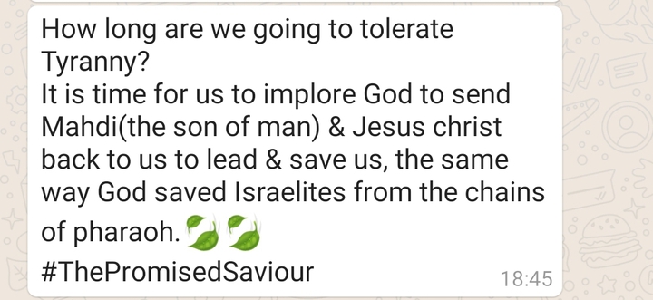 thePromisedSaviour