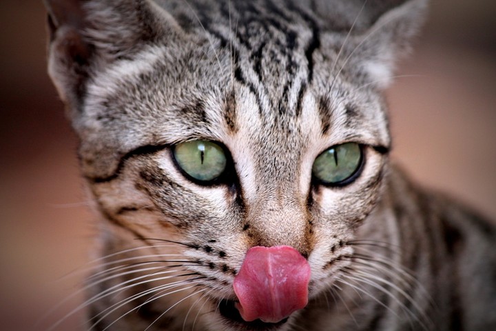Slurp..