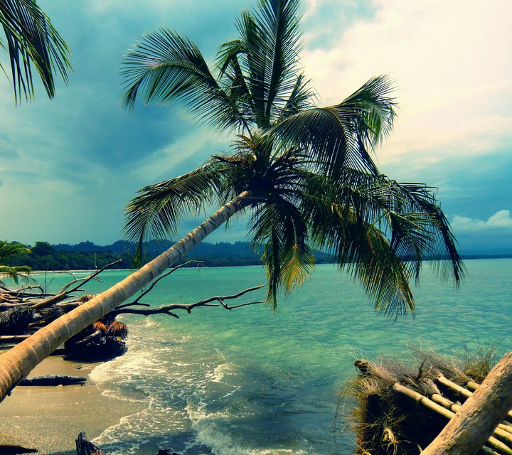 sea