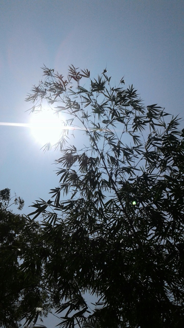 sun