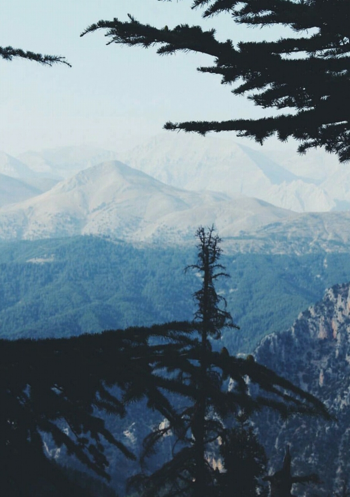 DOĞA..