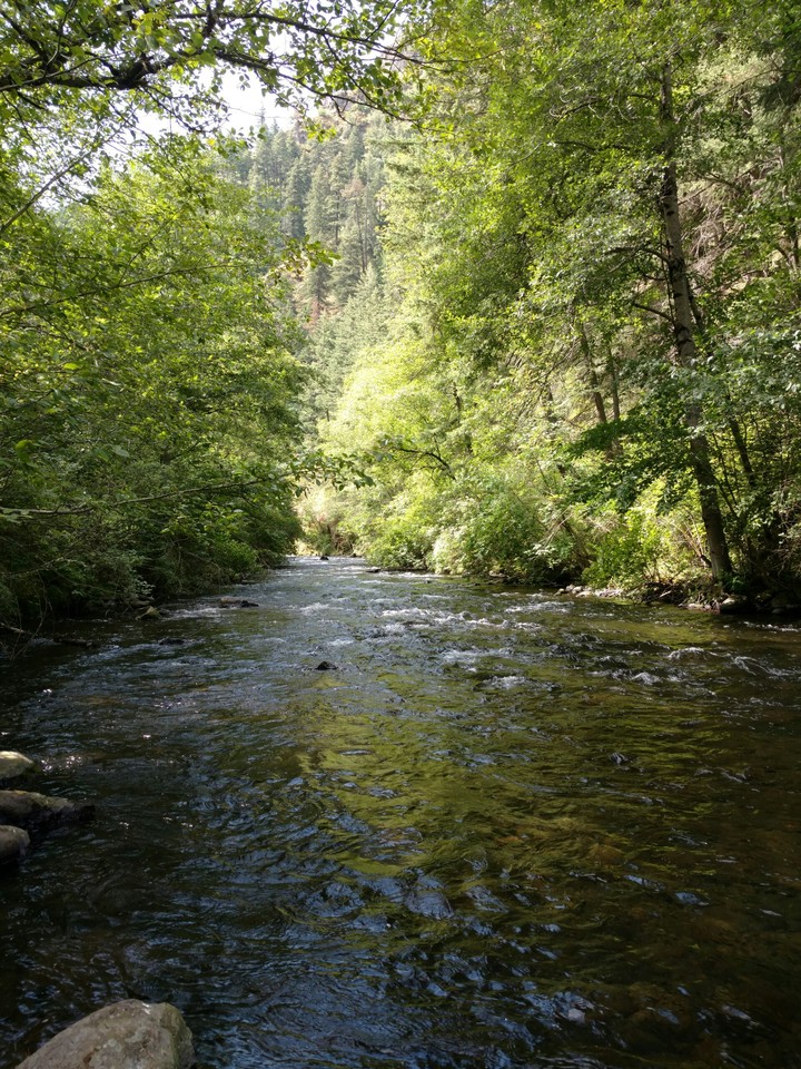 Nature