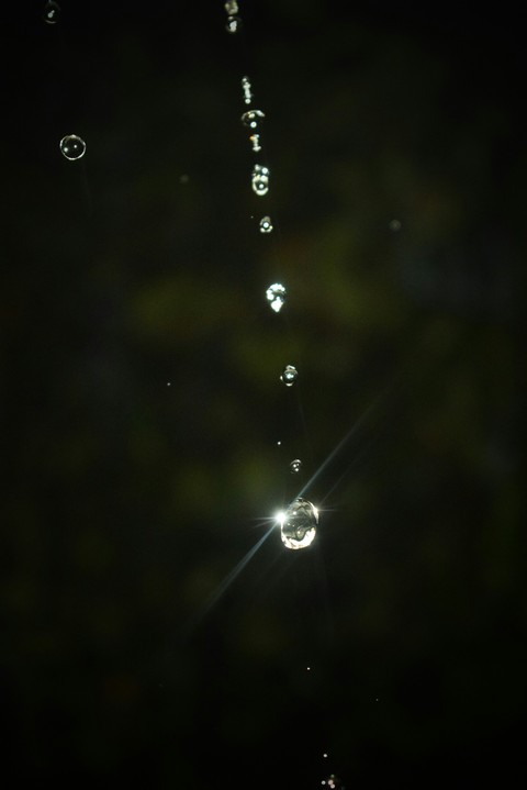 Water drops falling