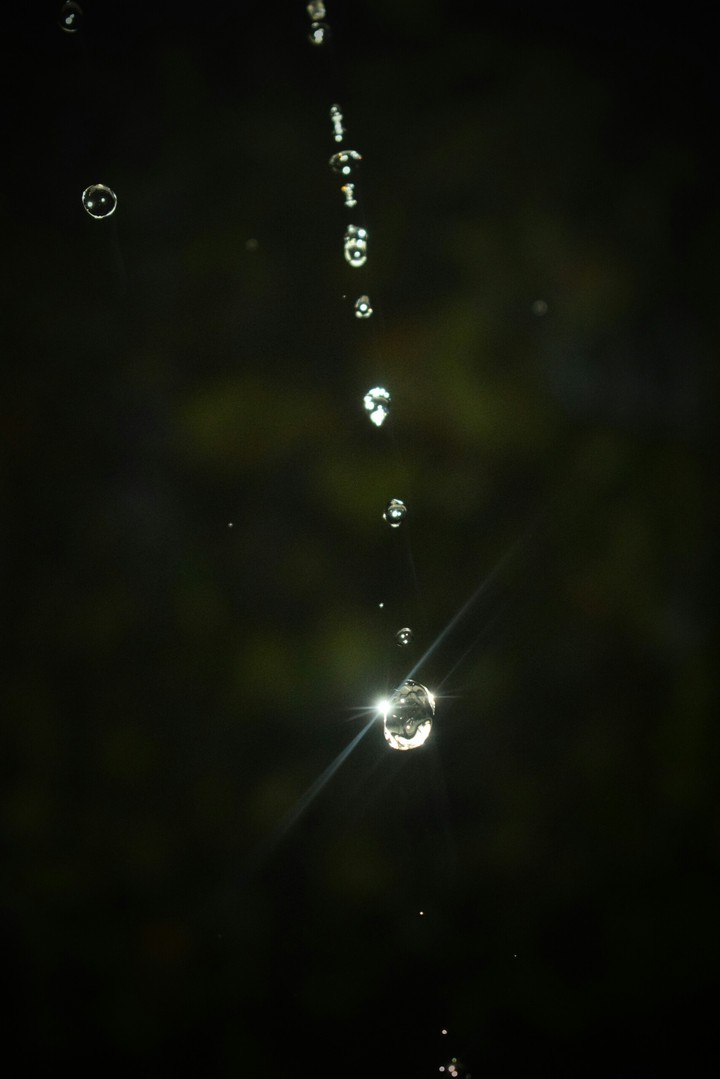 Water drops falling