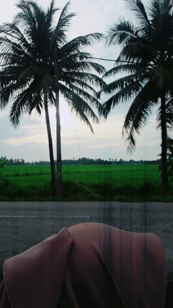view