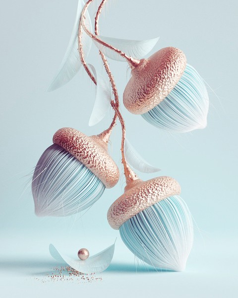Acorns