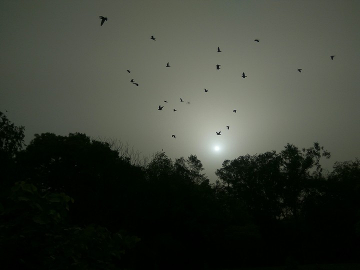 sun rise