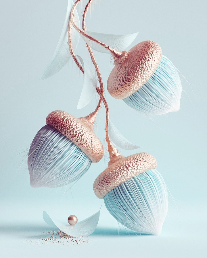 Acorns