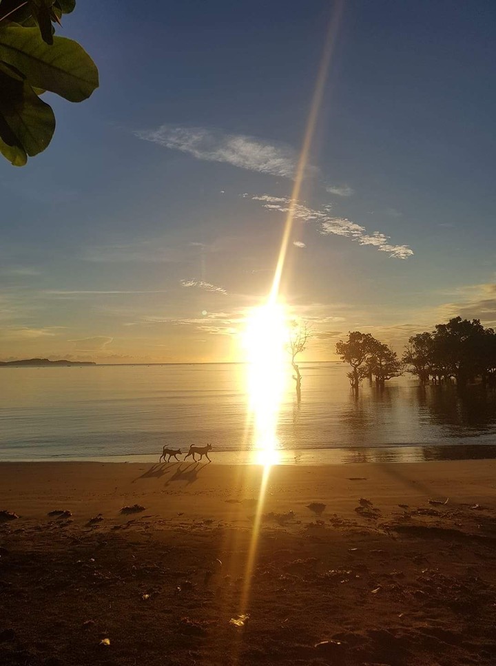 Just strolling at the morning beach.