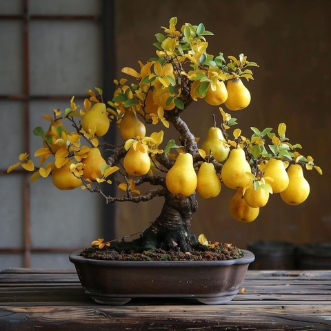 тапети food, Bonsai