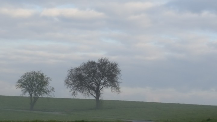 Mein Liebling Ort