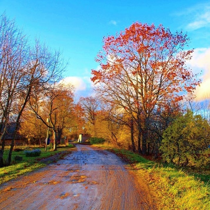 the road in the village