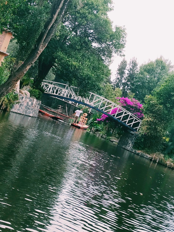 Canales de Xochimilco