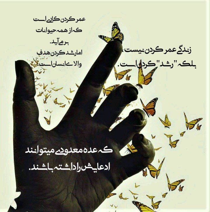 ،،