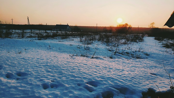 Voronezh area