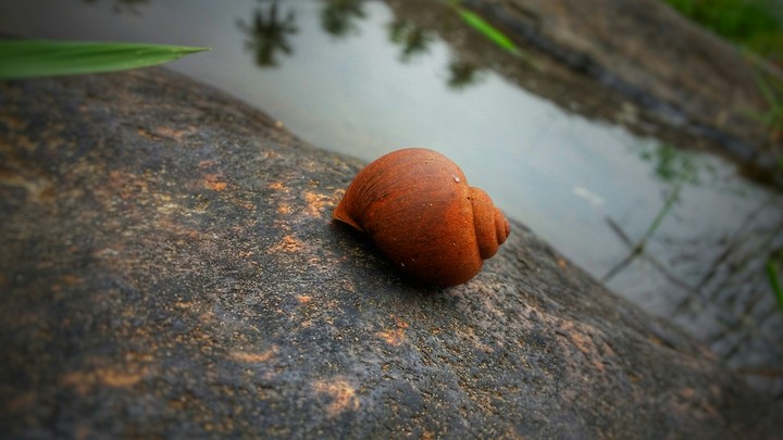 Mobile click  Samsung E7