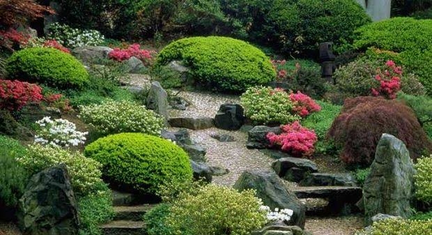 Japanese garden