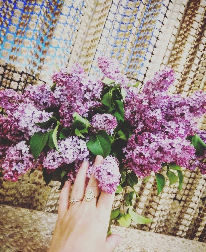 сирень