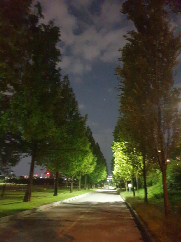 한강공원