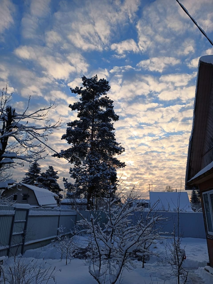 жизнь
