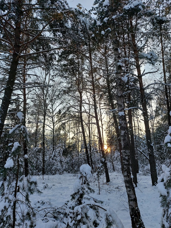 winter