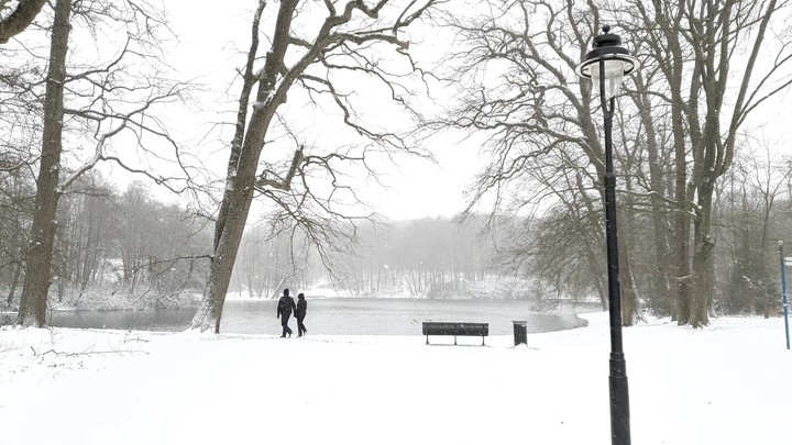 Land of Snow