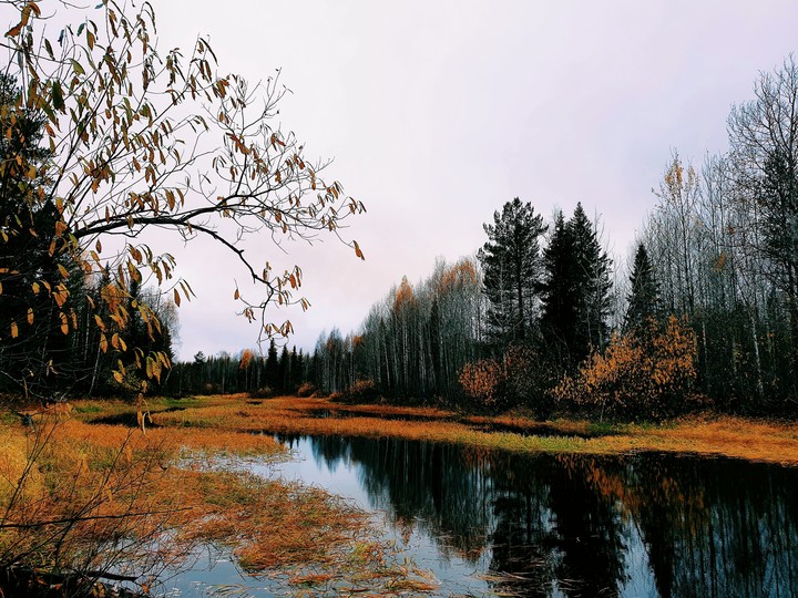 Глубокая осень