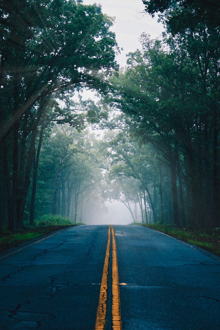 The road
