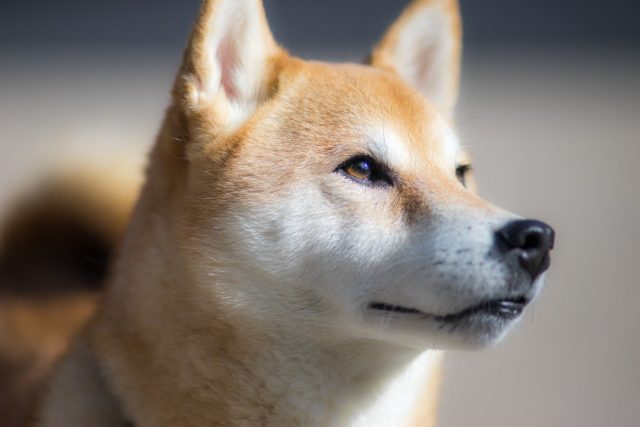 。