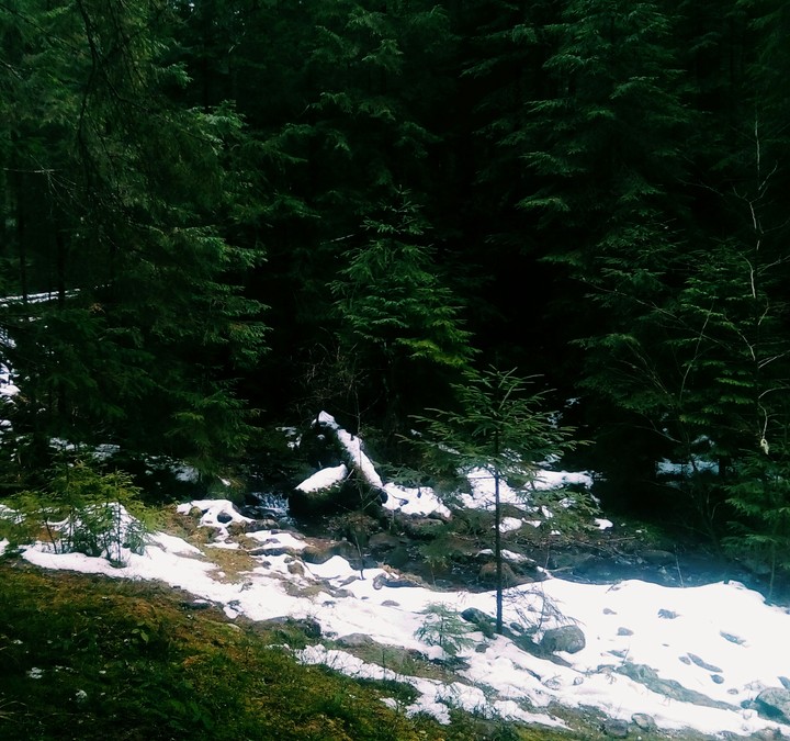 Nature is my love