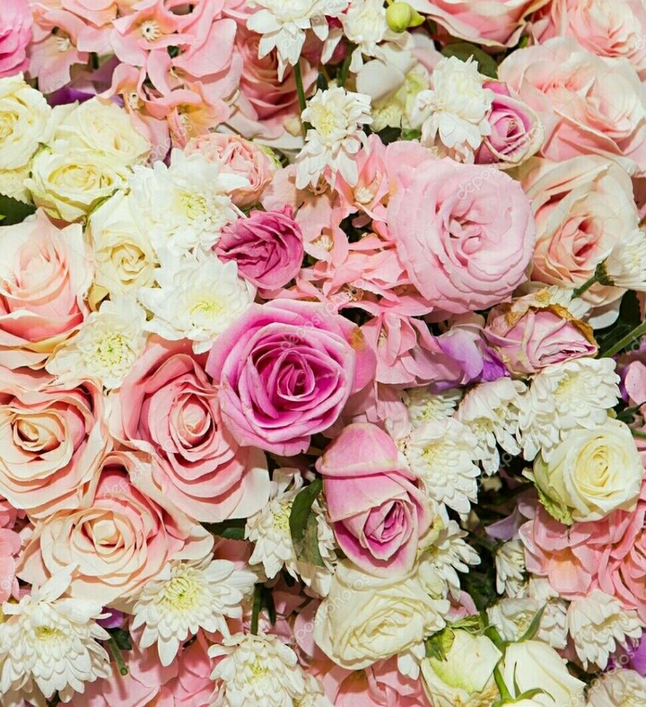 roses