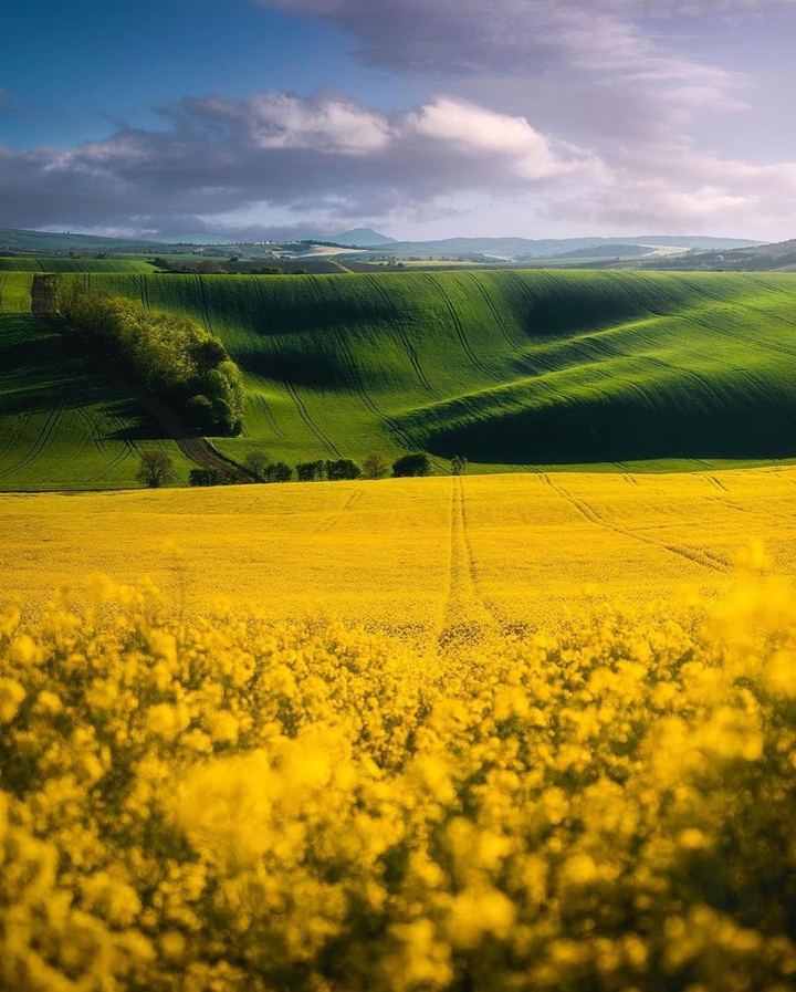 Czech Republic