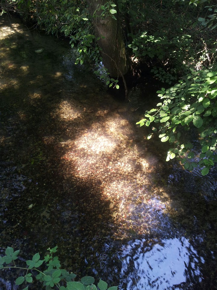 small river