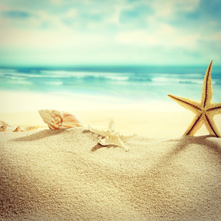 blue star