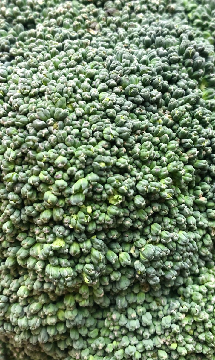 Broccoli