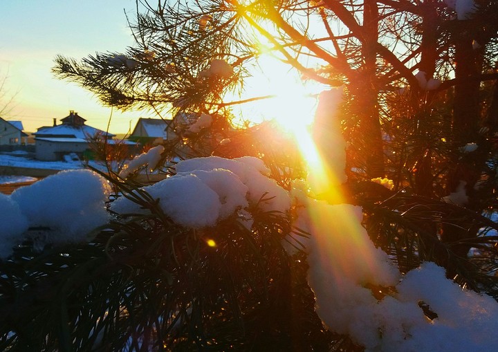 winter