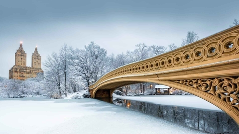 Bow bridge in Central Park