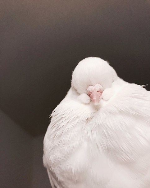 *