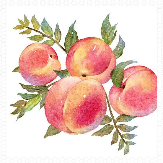 watercolors