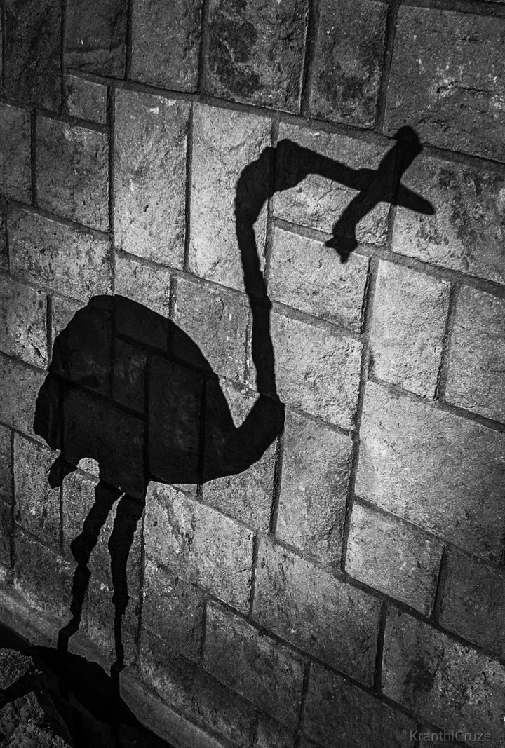 Crane
