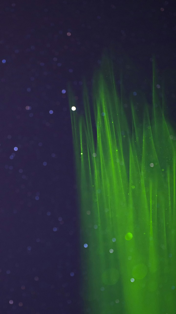Lazer Stars