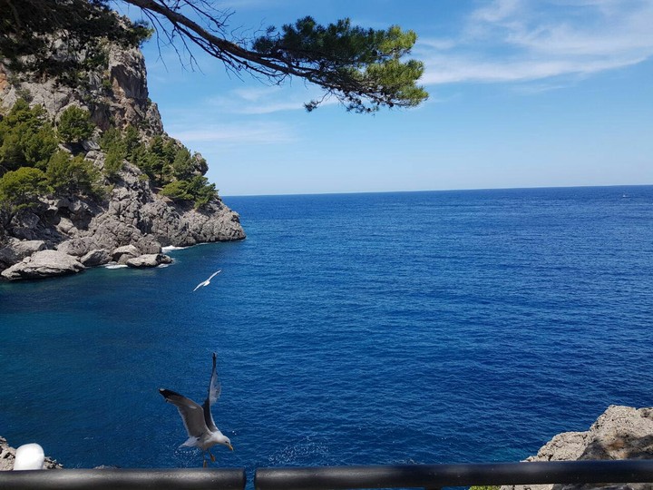 seascape