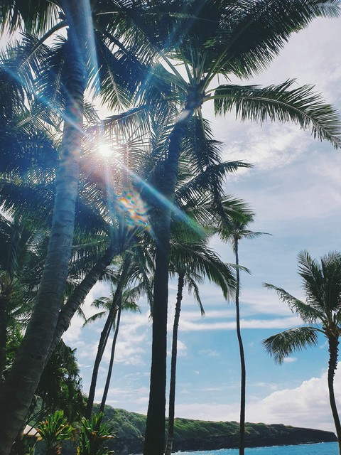 Beautiful sunshine