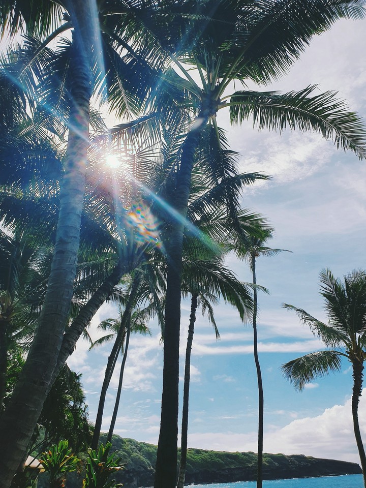 Beautiful sunshine