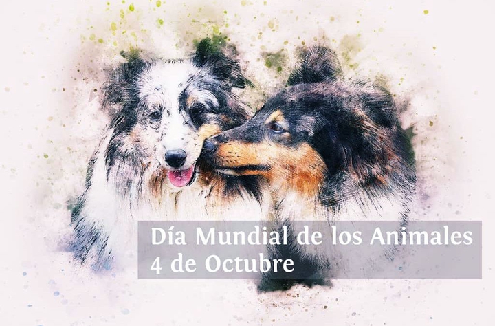 World Animal Day
