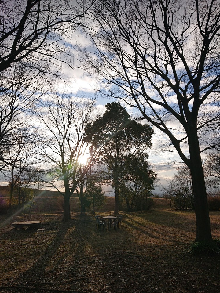 park