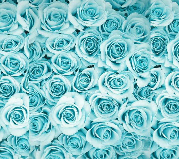 Teen wallpaper