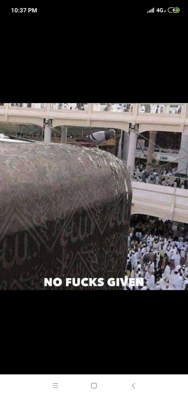 birds don't fly over Kaaba - Mullah of Islam!!