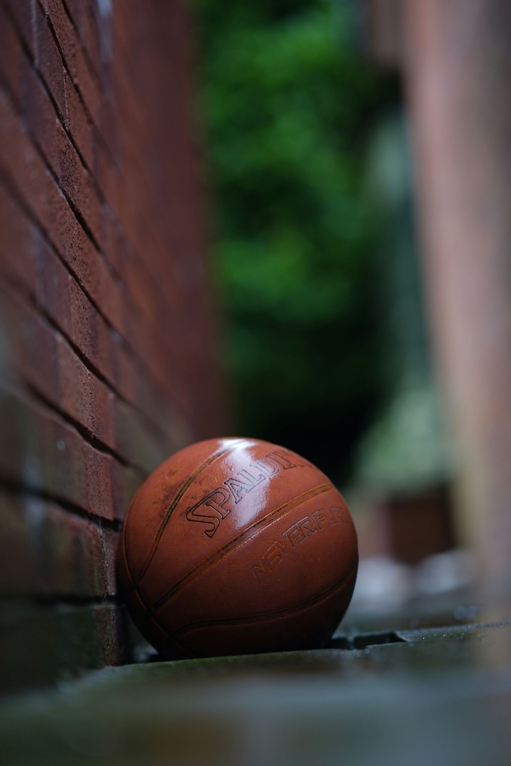 Spalding Light Bounce