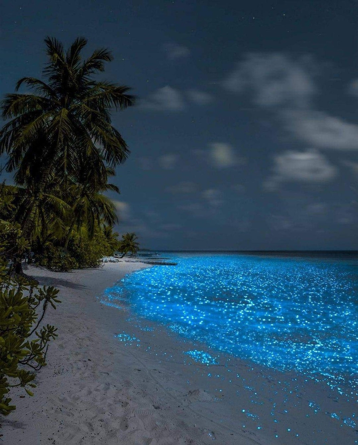 Ocean Blue